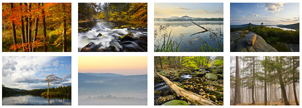 landscapes_notecards_grid