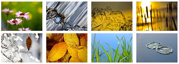 naturescapes_notecards_grid