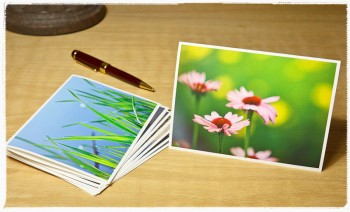 Naturescapes Notecards