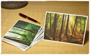 Trees Notecards