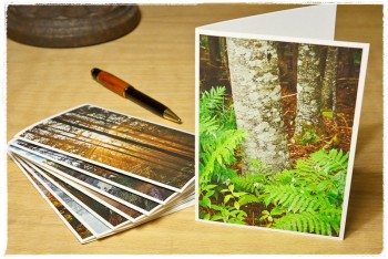 Trees (Vertical) Notecards