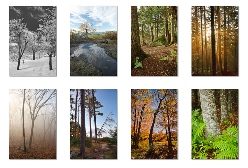 trees_grid