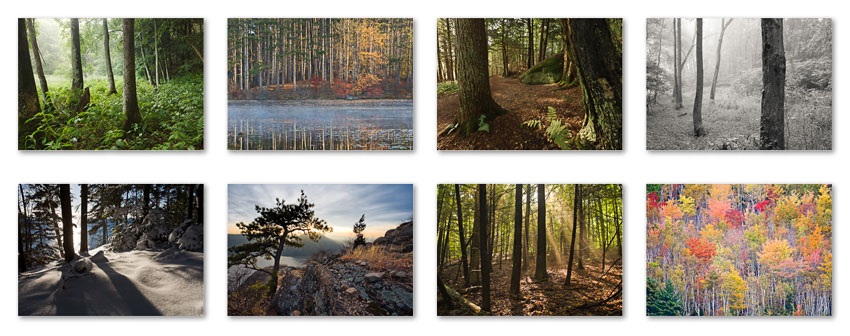 trees_grid