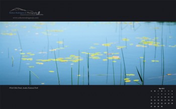 May 2012 Free Desktop Wallpaper